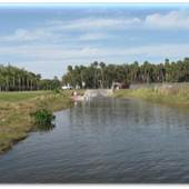 Lake Jesup Park