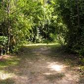 Haynes Creek Preserve