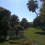 Ivanhoe Plaza Park