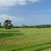 Kempfer Deer Park Ranch