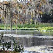 Lower Wekiva River Preserve State Park