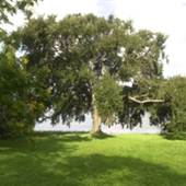 Spring Lake Park