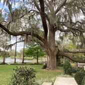 Old Florida on the Water Near Downtown Orlando