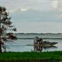 Lake Tohopekaliga