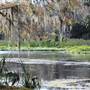 Lower Wekiva River Preserve State Park