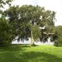 Spring Lake Park