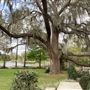 Old Florida on the Water Near Downtown Orlando