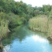 Kelly Park/Rock Springs