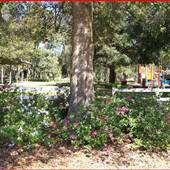 McTureous Memorial Park