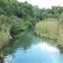 Kelly Park/Rock Springs