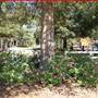 McTureous Memorial Park