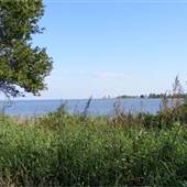 Ferndale Preserve