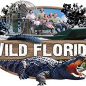 Wild Florida Airboats