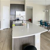 Newly Built Modern Home in Horizon West