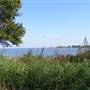Ferndale Preserve