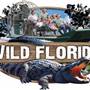 Wild Florida Airboats