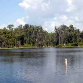 Lake Keene