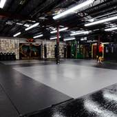 Jungle Orlando MMA Fitness