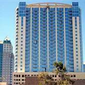 The Solaire