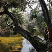 Wekiwa Springs State Park