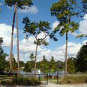 Crystal Lake Neighborhood Park