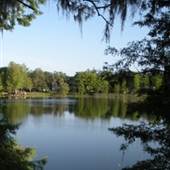 Park Lake