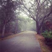 Cady Way Trail