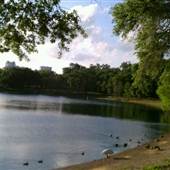 Lake Davis Park