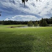 Magnolia Park