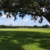 Blue Jacket Park