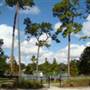 Crystal Lake Neighborhood Park