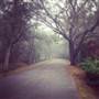 Cady Way Trail