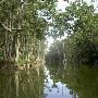 Dora Canal