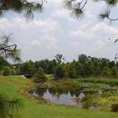 LaCosta Urban Wetlands