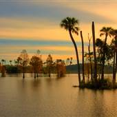 Orlando Wetlands Park