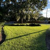 Songbird Park