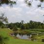 LaCosta Urban Wetlands