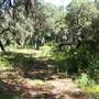 Lake Jem Park & Boat Ramp