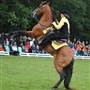 Clarcona Horse Park