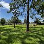 Willows Park