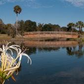 Lake Mendsen