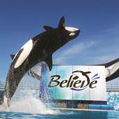 Sea World