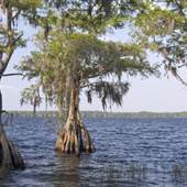 Disney Wilderness Preserve