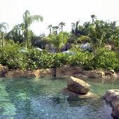 Sea World's Discovery Cove