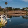 Lake Mendsen