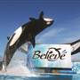 Sea World