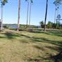 Dr. P. Phillips Community Park