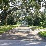 Kissimmee