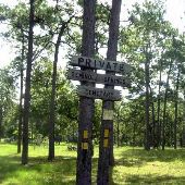 Seminole Woods Ranch Private Cemetary