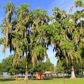 Lake Apopka Loop Trail